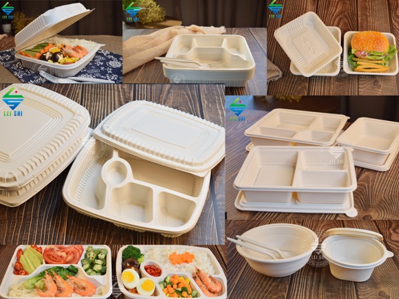 biodegradable bento box