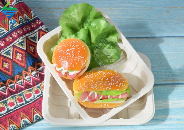  biodegradable food containers