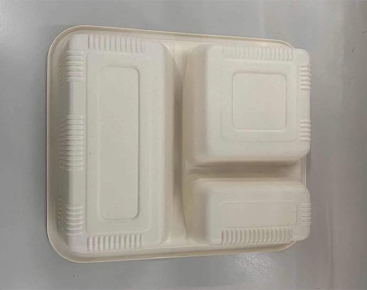 degradable packaging food box