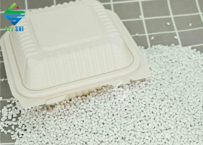 small square bento box