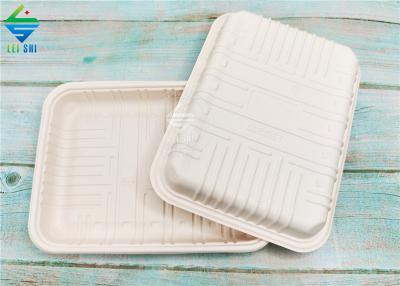 Bamboo biodegradable material compostable no plastic food plates